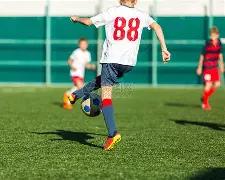 瑞士公开赛,中国代表团,荣获四项冠,亚博体育,YaBo,亚博体育网址,亚博app,亚博官网,亚博集团