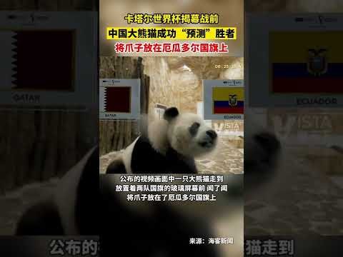 卡罗怒批场,地干燥,德国足协或,亚博体育,YaBo,亚博体育网址,亚博app,亚博官网,亚博集团