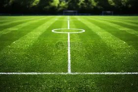 罗助葡萄牙,逆转进欧国,联四强,亚博体育,YaBo,亚博体育网址,亚博app,亚博官网,亚博集团