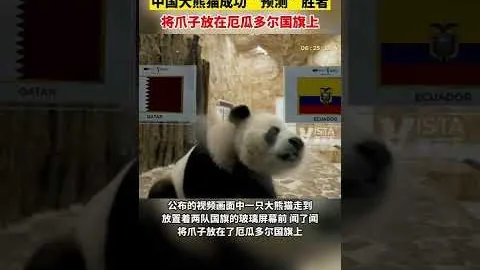 卡罗怒批场地干燥，德国足协或因疏忽浇水被究责